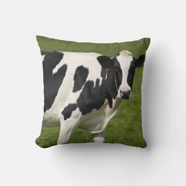 Almofada Vaca do frisão (Frente)