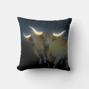 Almofada Vacas Do Planalto Brilhando Na Escuridão, Cushion