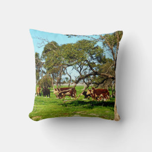 Almofada Vacas No Intervalo,