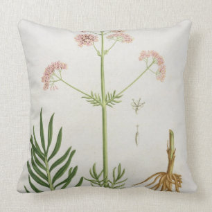 Almofada Valerian de "Phytographie Medicale" pelo Ro de
