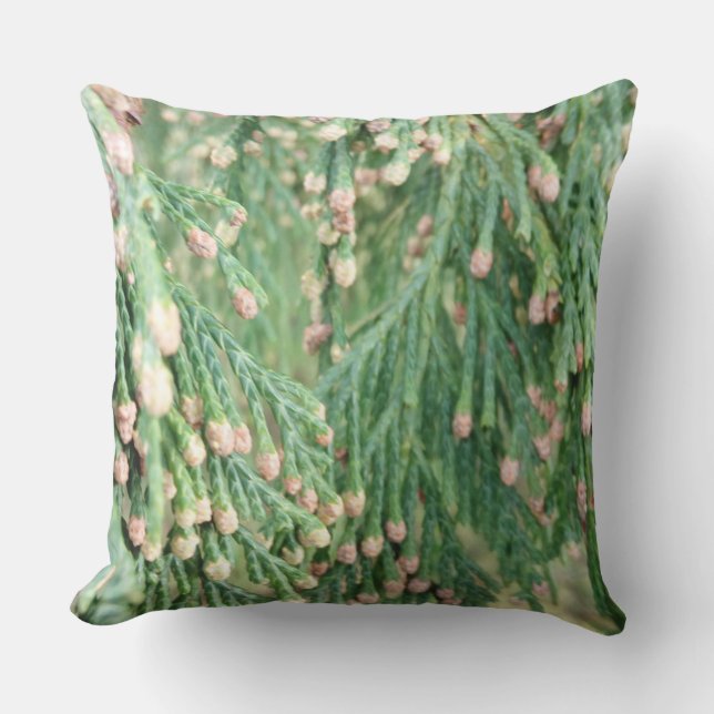 Almofada VerdeLuz (Frente)