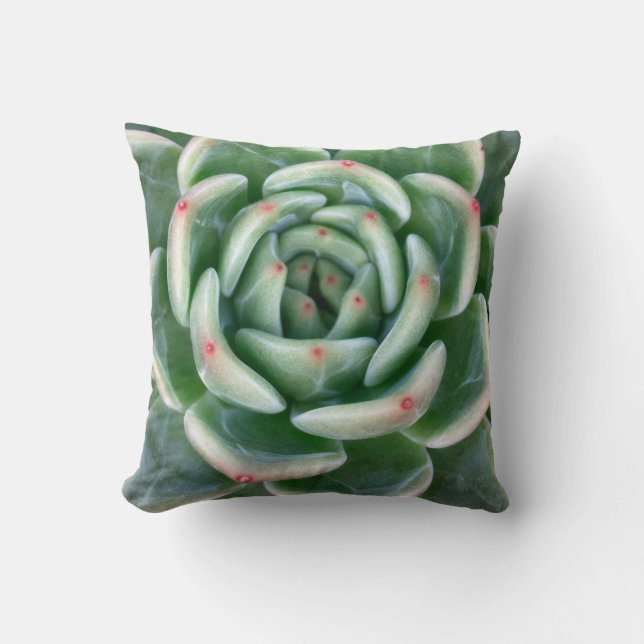 Almofada Vermelho verde Succulent derrubado (Frente)