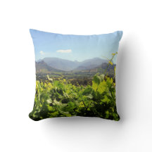 Vinhedos em Franschhoek, África do Sul