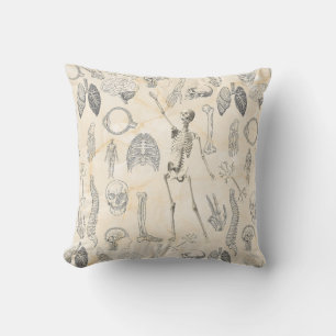 Almofada Vintage Anatomia Humana Creme Marfil Marfil Marble
