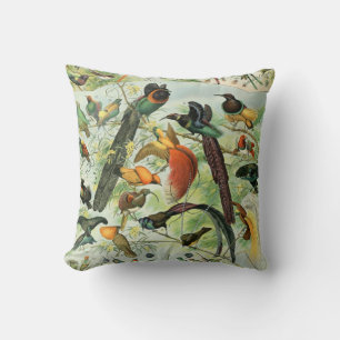 Almofada Vintage Birds Antiga Ilustração de Livros