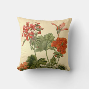 Almofada Vintage Botanical Zonal Floral Geranium Illustrati