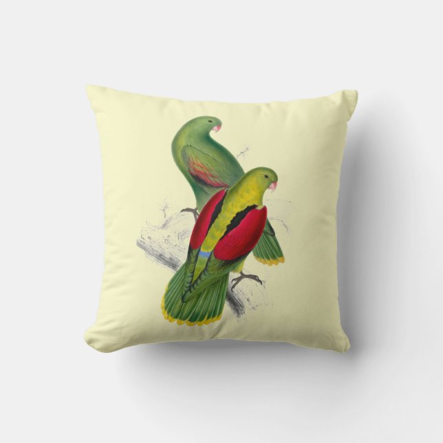 Almofada Vintage Crimson Winged Parakeet (Frente)