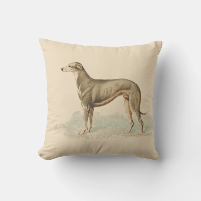 Almofada Vintage Greyhound Elegant Impressão Soft Pink Cush (Frente)