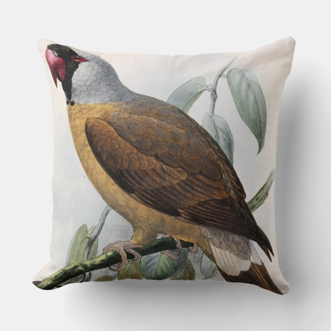 Almofada Vintage John Keulemans Mascarene Parrot (Frente)