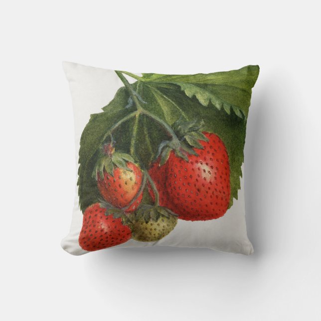 Almofada Vintage Strawberry (Frente)