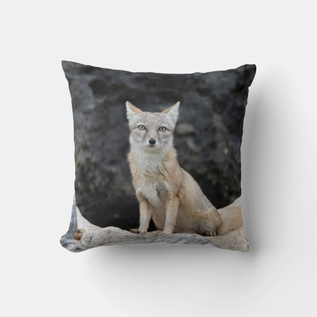 Almofada Vulpes corsac (Frente)