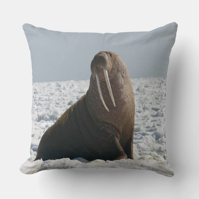 Almofada Walrus On Ice (Frente)