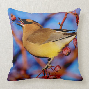 Almofada Waxwing de cedro