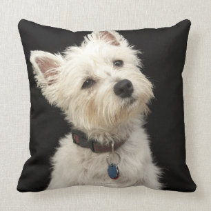 Almofada Westie (terrier ocidental das montanhas) com colar
