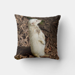 Almofada White Meerkat Standby, Cushion