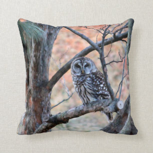 Almofada Wildlife Barred Owl Tree Photo