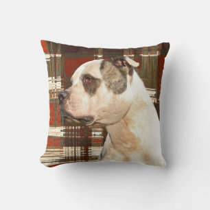Almofada Xadrez Americana Buldogue