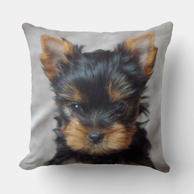 Almofada Yorkie pequeno (Frente)
