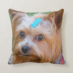 Almofada Yorkshire Terrier Yorkie Breve favorita