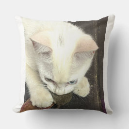 Almofada You Got Me!, Funny Anniversary Throw Pillow