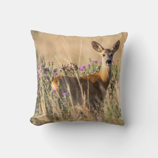 Almofada Young Roe Deer em Meadow (Frente)