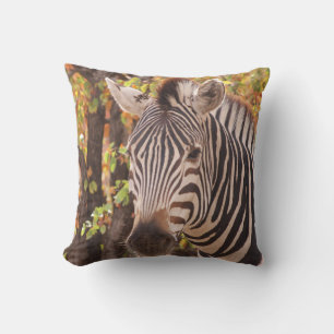 Almofada Zebra de Burchell com mudança de estação outono fo