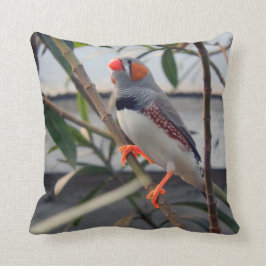 Almofada Zebra Finch