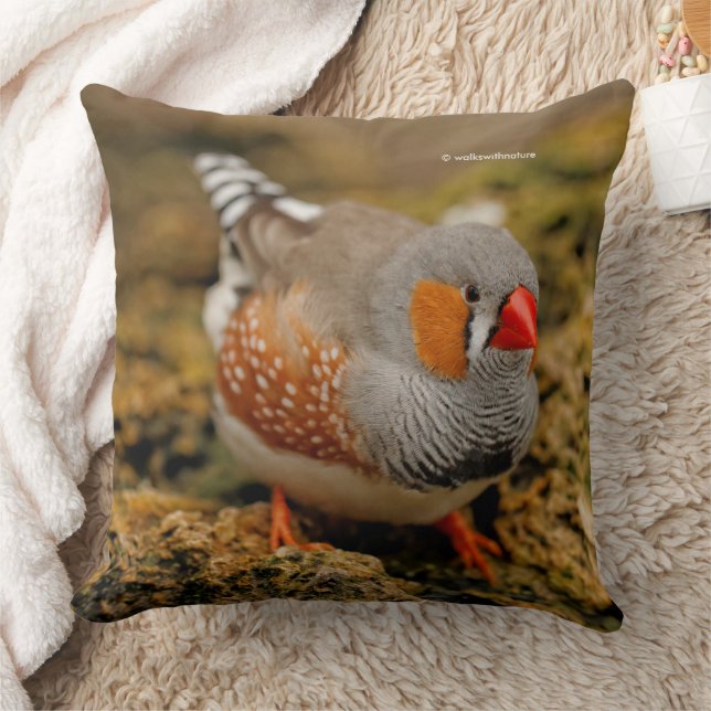 Almofada Zebra Finch Songbird nas Rochas (Cobertor)