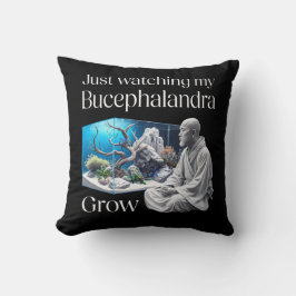 Almofada Zen and Bucephalandra – The Art of Aquascaping