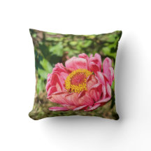 Zinnia rosa com centro amarelo