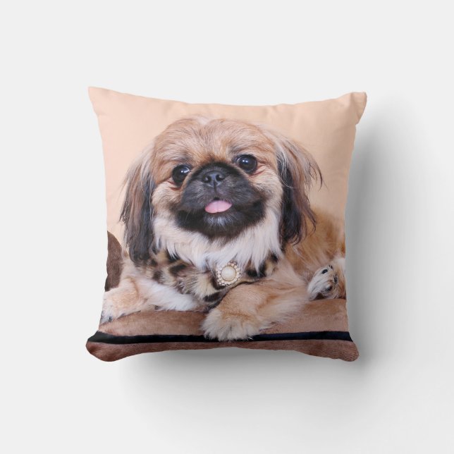 Almofada Zoe - Pekingese (Frente)