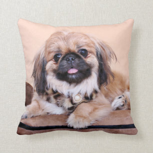 Almofada Zoe - Pekingese