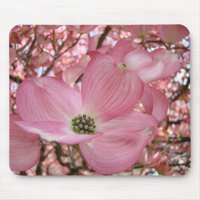 Almofadas de Rato FLORES DE DOGWOOD ROSA MOUSEPAD (Frente)