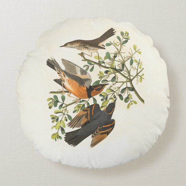 Almofadas Redondas (Frente)