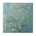 Almond Blossom: Vincent Van Gogh<br><div class="desc">Almond Blossom. Pintado por Vincent Van Gogh em 1890. Esta imagem está no dominio público.</div>