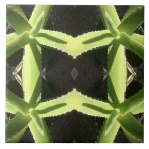 Aloe Pattern 3h