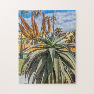 Aloe Vera quebra-cabeça