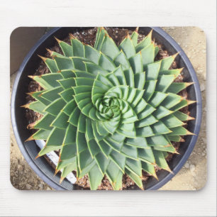 Aloés espiral Mousepad
