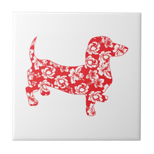 Aloha Doxie Dachshund (Frente)