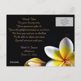 Aloha Havaiana Frangipani Luau Obrigado Cartões