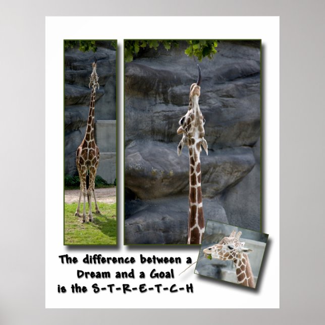 Alongue-se Poster (Frente)