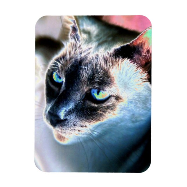 Aloof Siamese Cat Alterou o ímã flexível (Vertical)