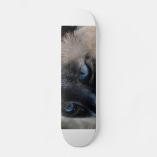Aloof Siamese Cat Skateboard