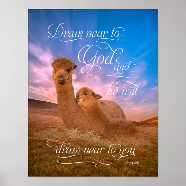 Alpaca Bíblia Versa Desenhar Perto de Deus Poster (Frente)