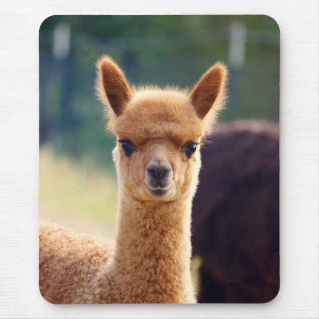 Alpaca bonita Mousepad (Frente)