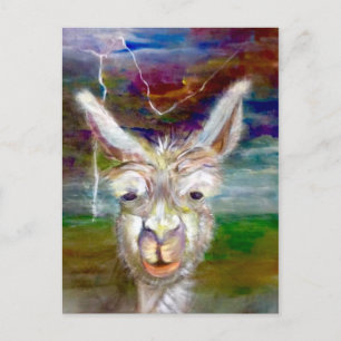 Alpaca - Cartão postal Tio Glen