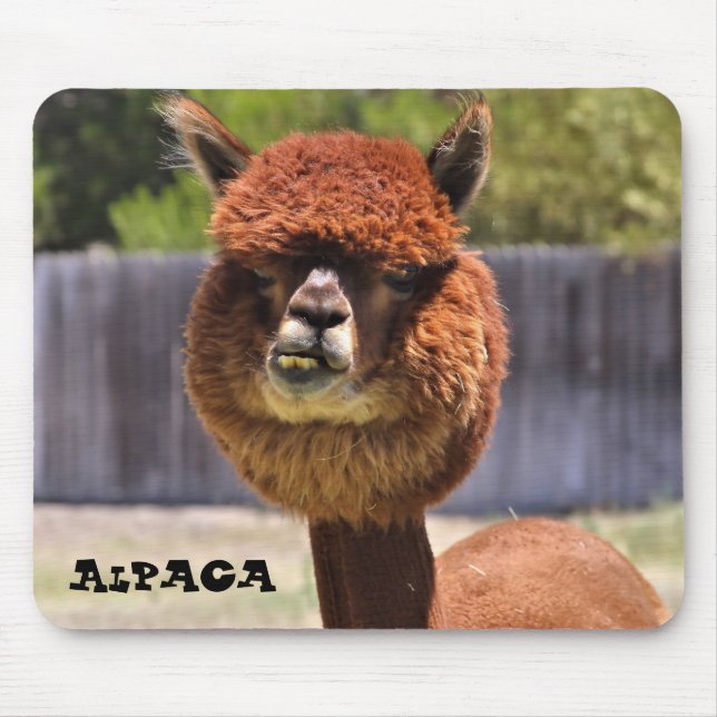 Alpaca engraçada Mousepad (Frente)