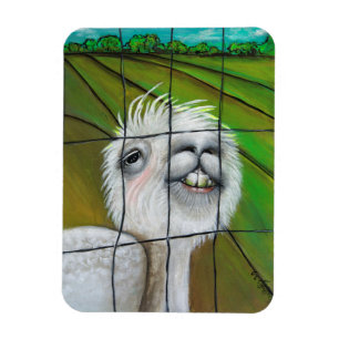 Alpaca - ímã pequeno do sonhador