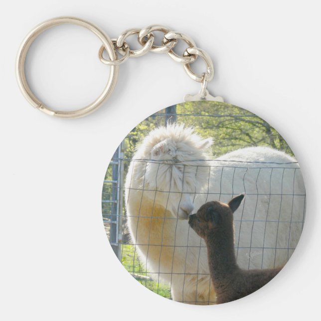 Alpaca Kiss Button Chaveiro (Frente)