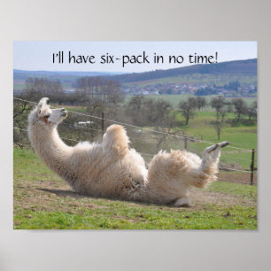 Alpaca lama exercício engraçado poster motivador